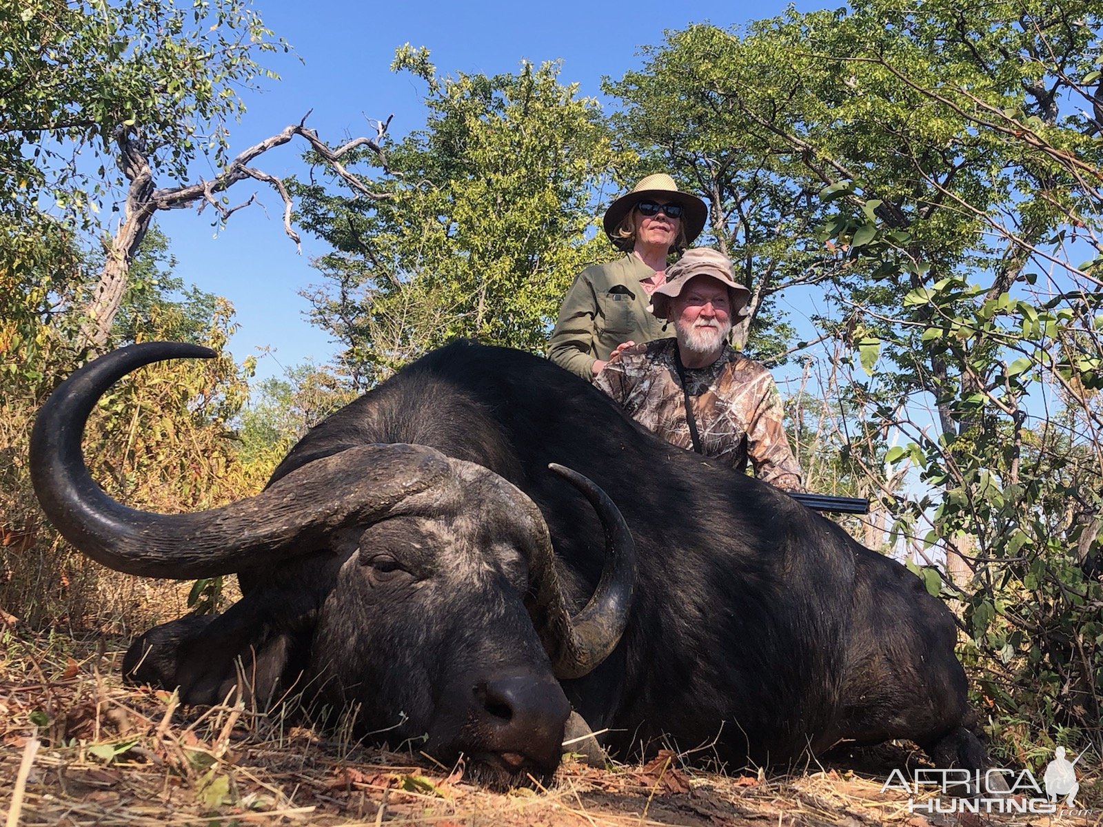 Buffalo Hunt South Africa