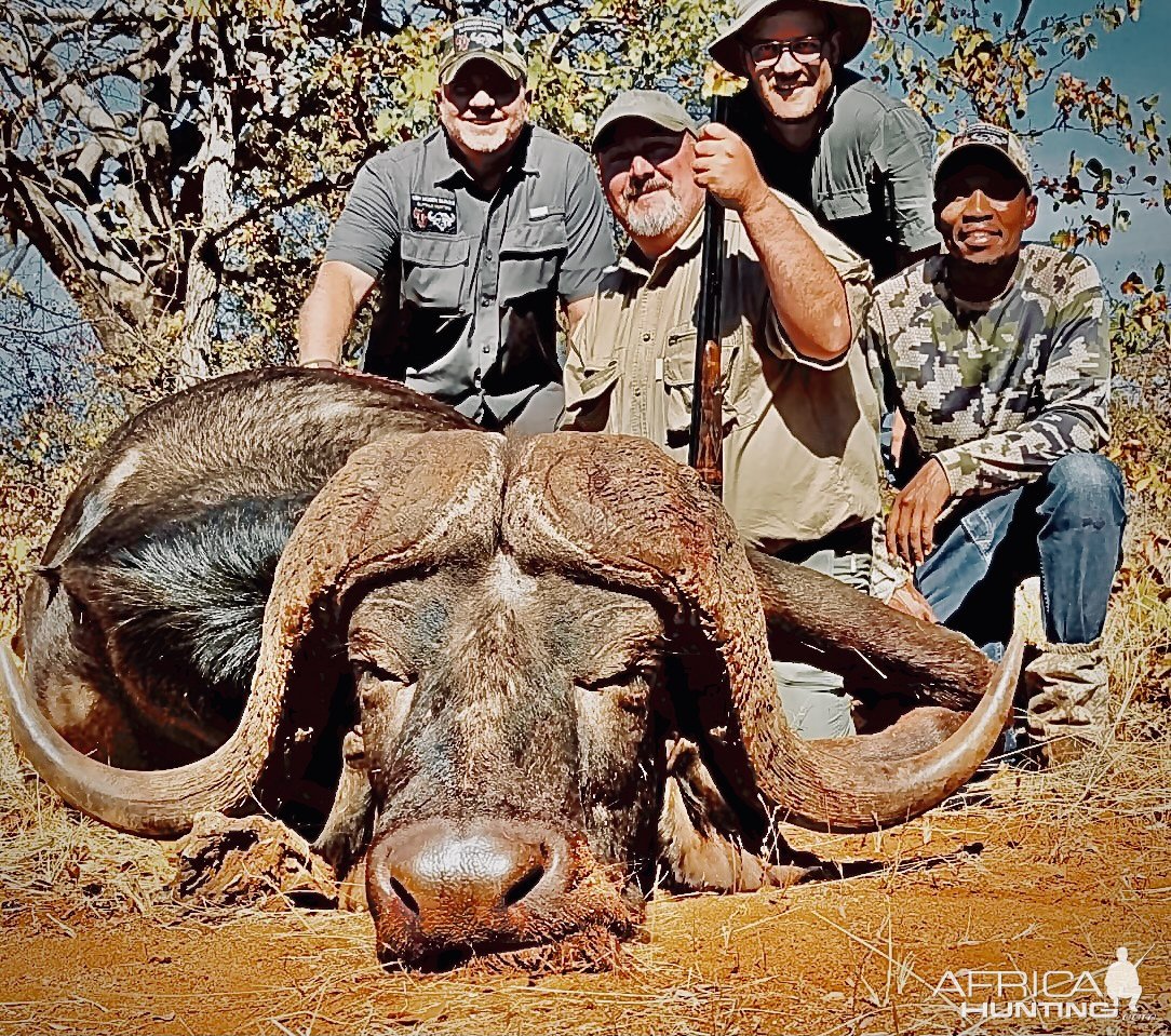 Buffalo Hunt South Africa