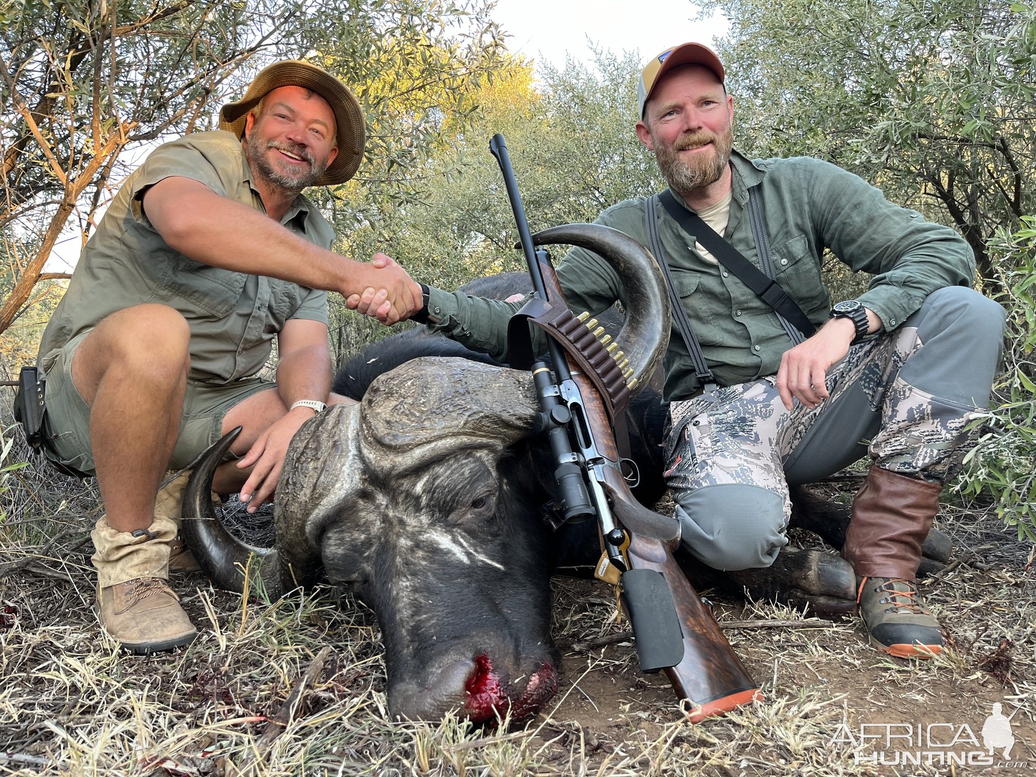 Buffalo Hunt South Africa