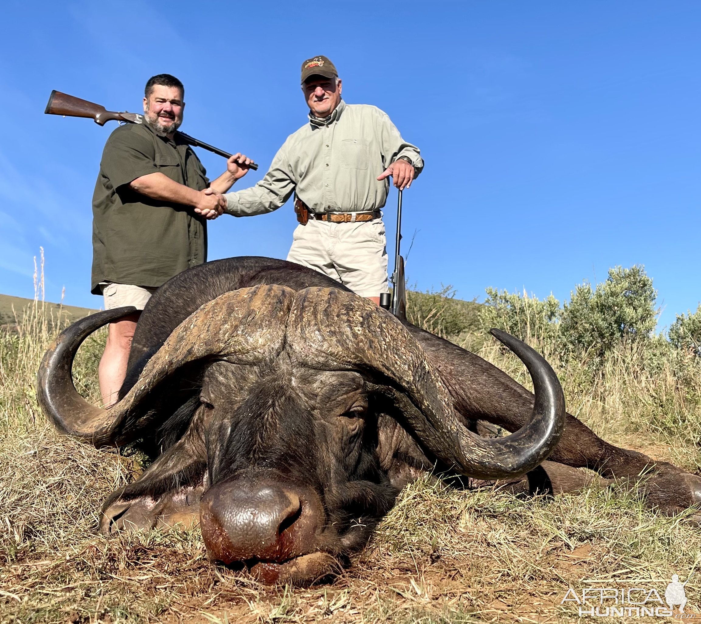 Buffalo Hunt South Africa