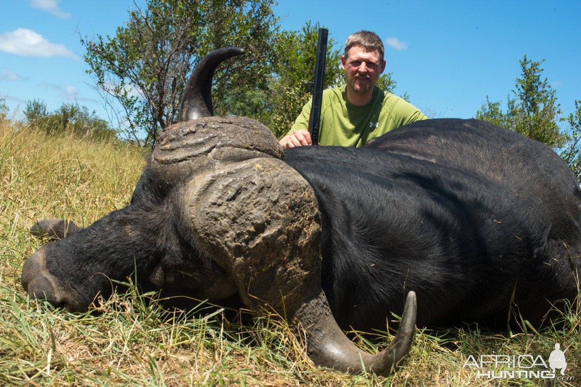 Buffalo Hunt South Africa