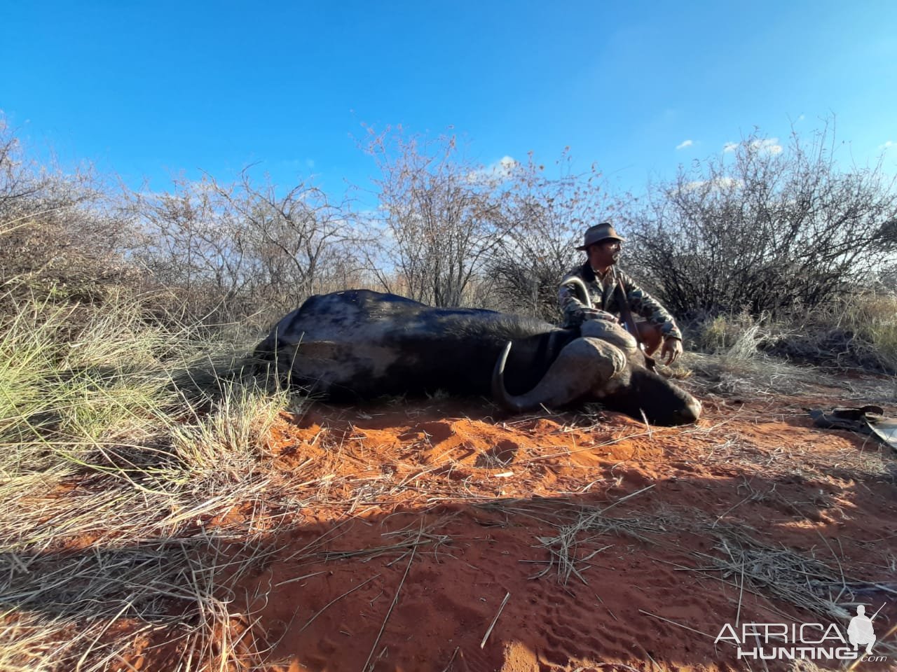 Buffalo Hunt South Africa