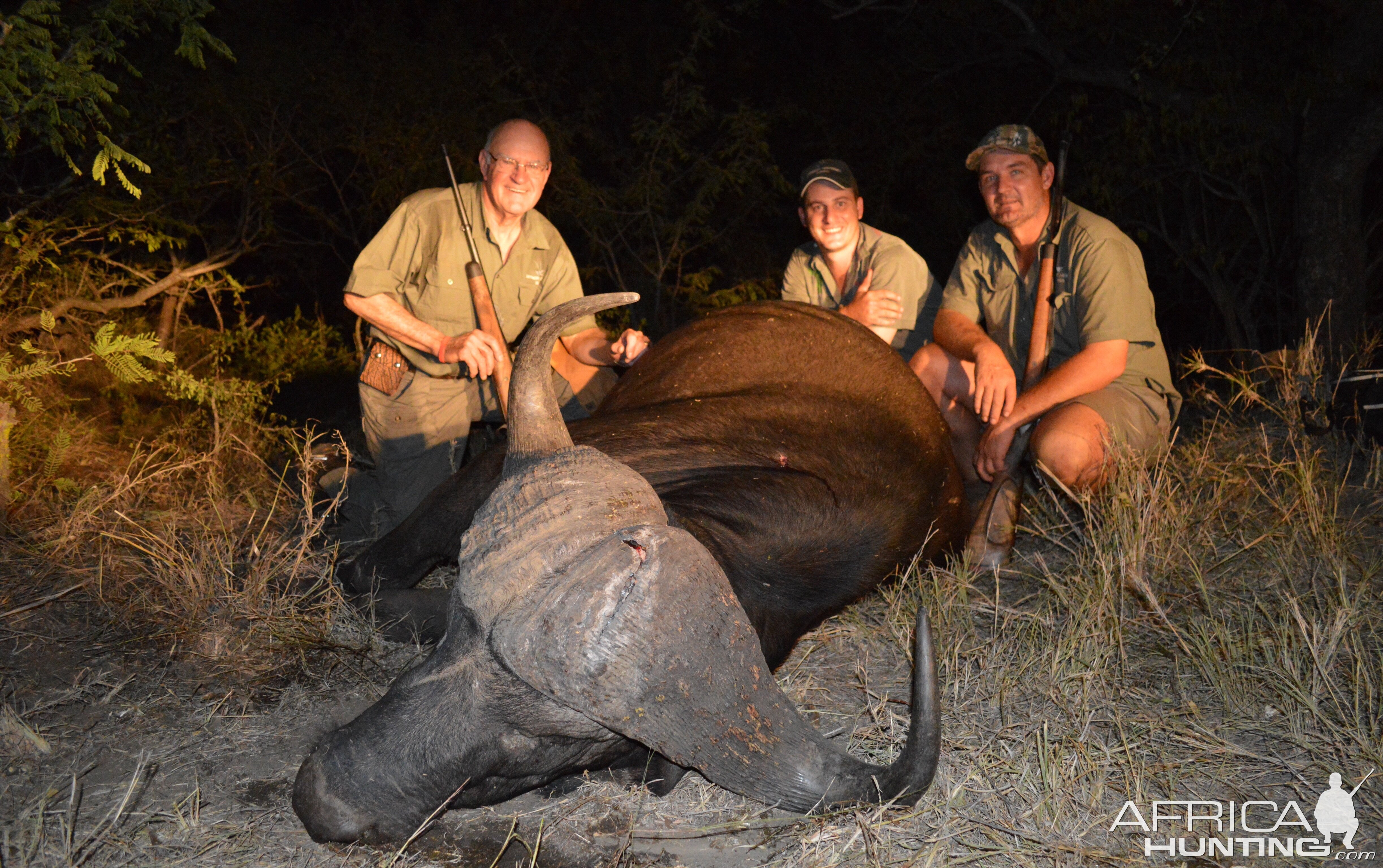 Buffalo hunt South-Africa