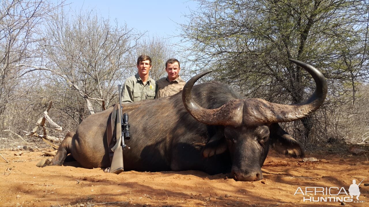 Buffalo Hunt South Africa