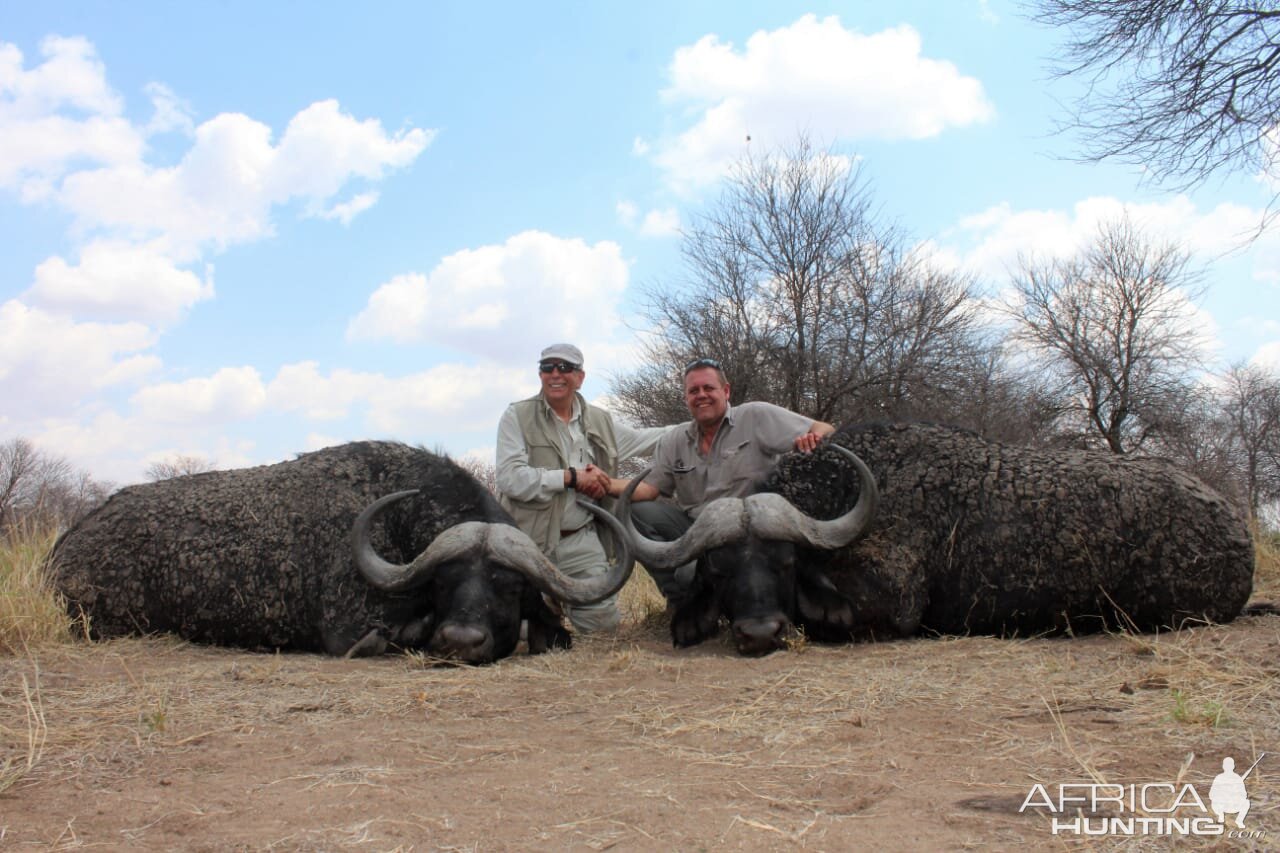 Buffalo Hunt South Africa