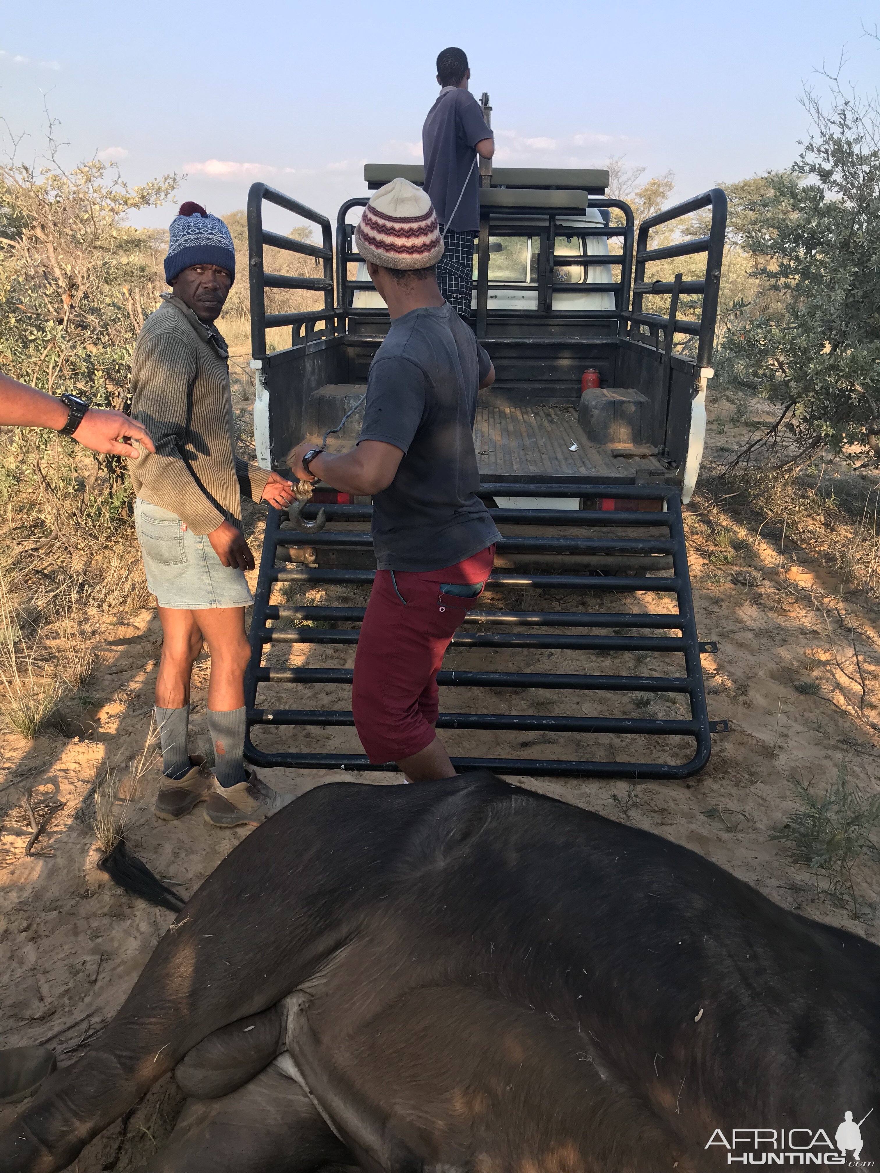 Buffalo Hunt South Africa