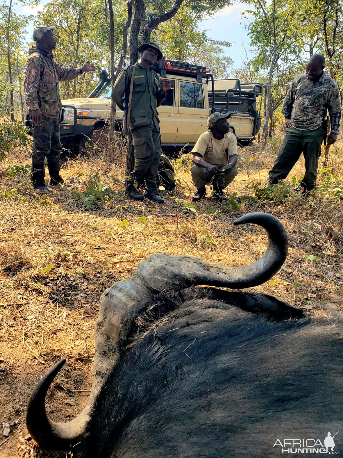 Buffalo Hunt Tanzania