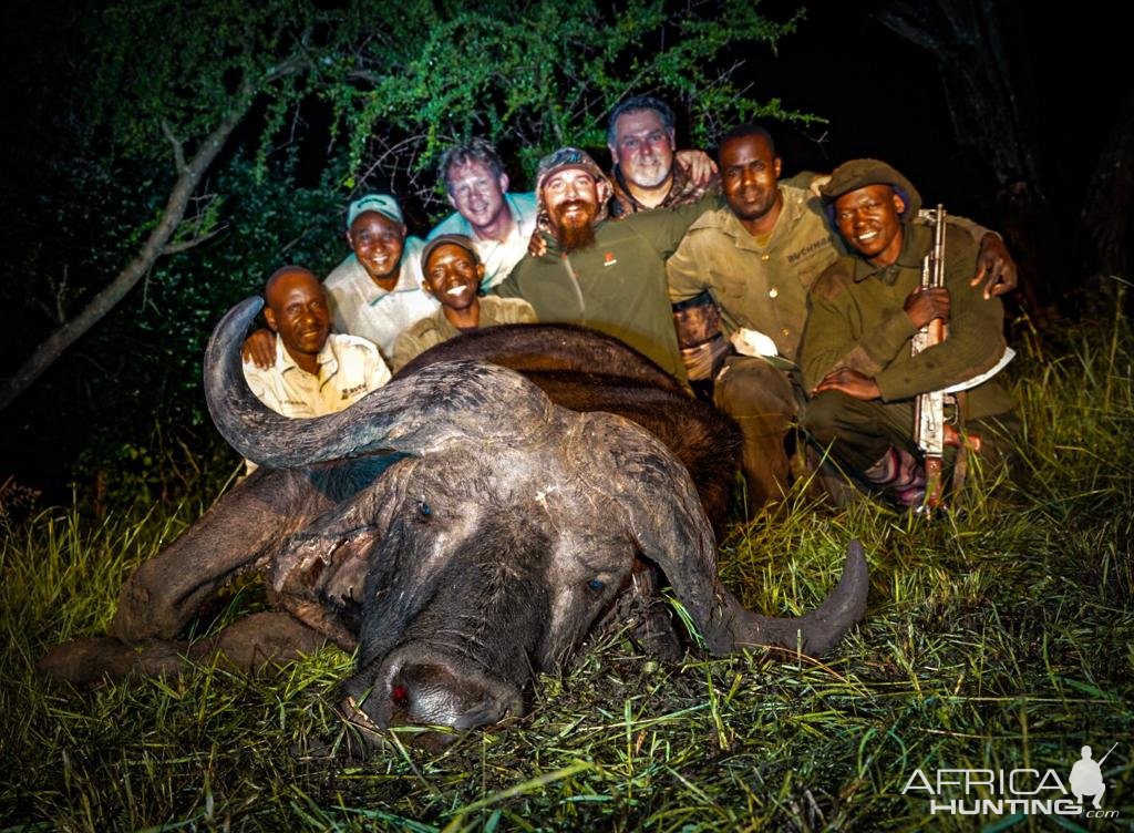 Buffalo Hunt Tanzania