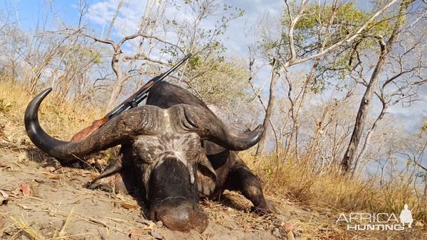 Buffalo Hunt Tanzania