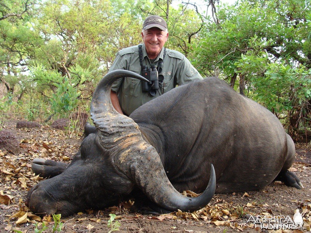 Buffalo hunt with CAWA in CAR