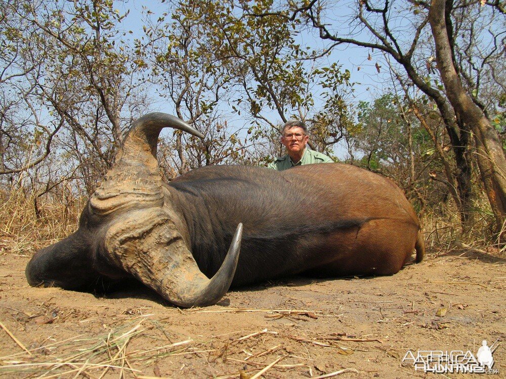 Buffalo hunt with CAWA in CAR