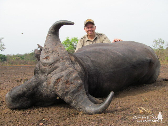 Buffalo hunt with CAWA in CAR