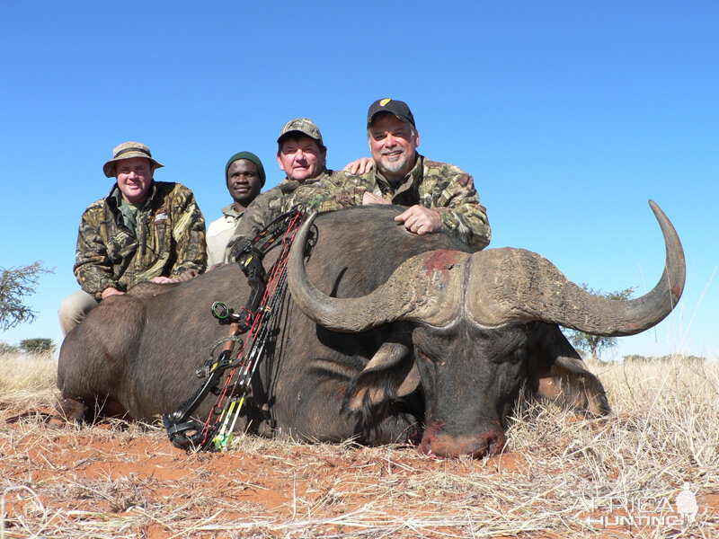 Buffalo hunt with Wintershoek Johnny Vivier Safaris