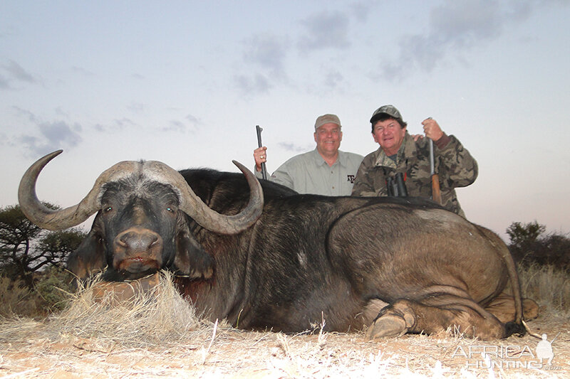 Buffalo hunt with Wintershoek Johnny Vivier Safaris