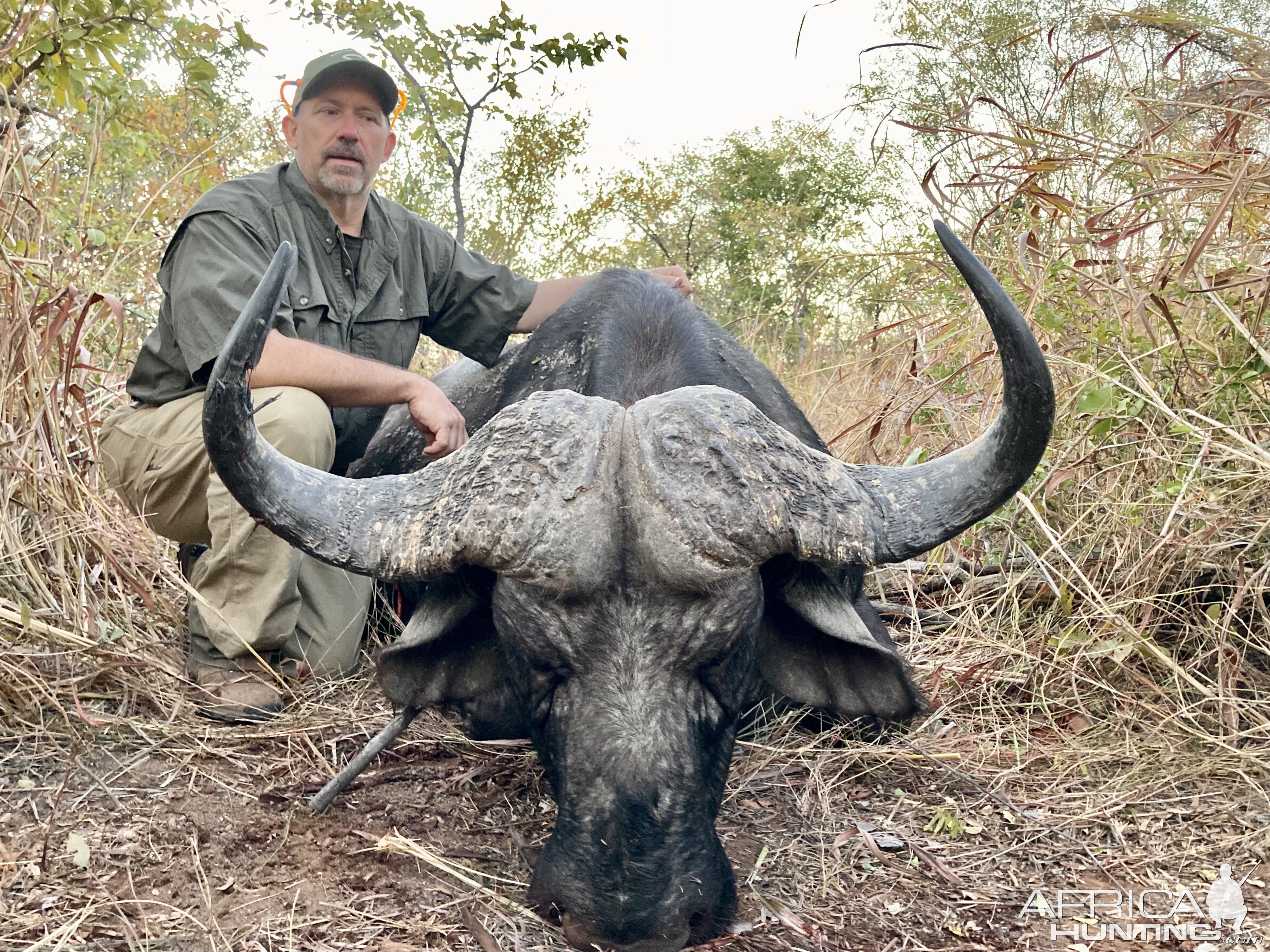 Buffalo Hunt Zimbabwe