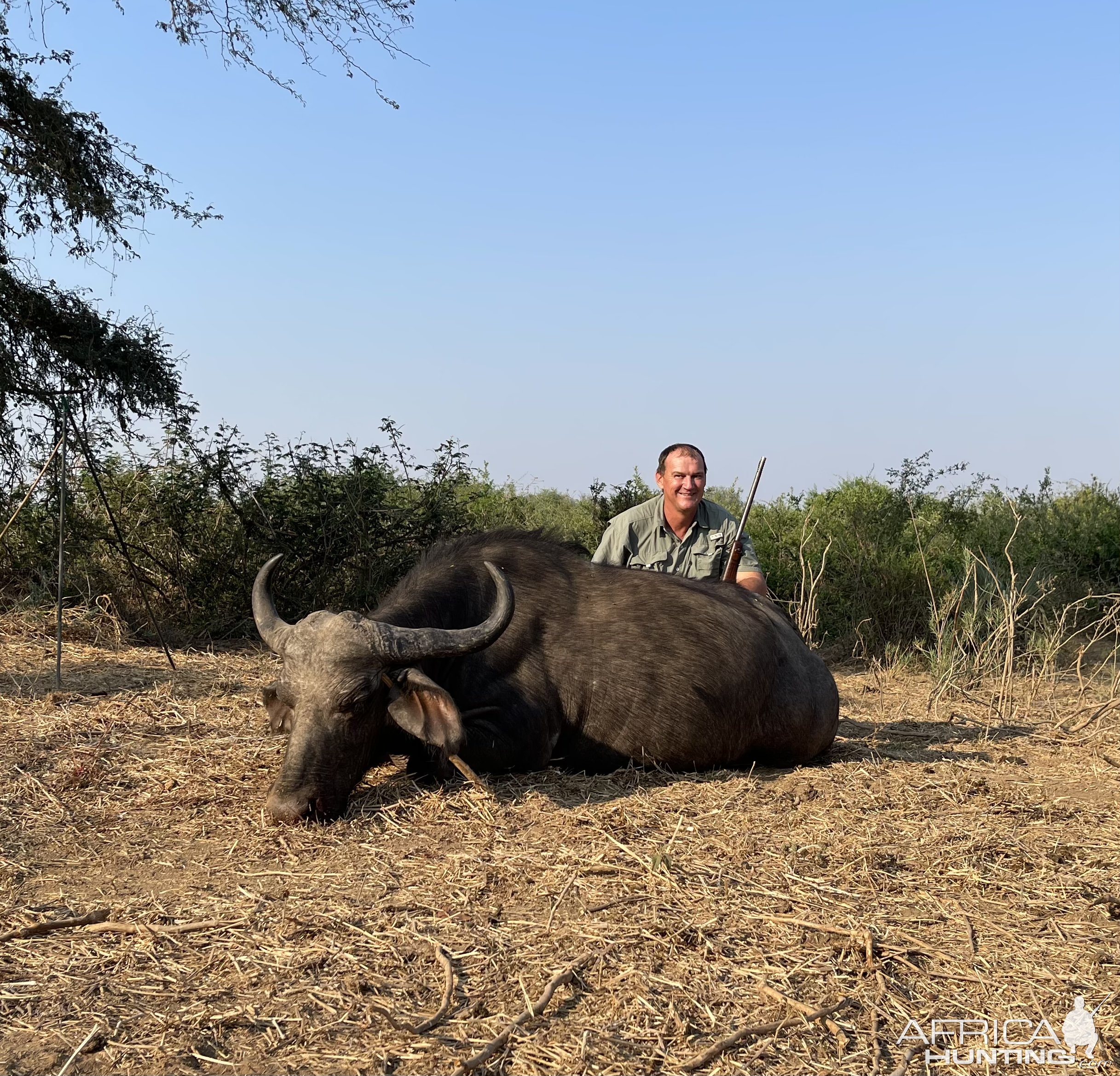 Buffalo Hunt Zimbabwe