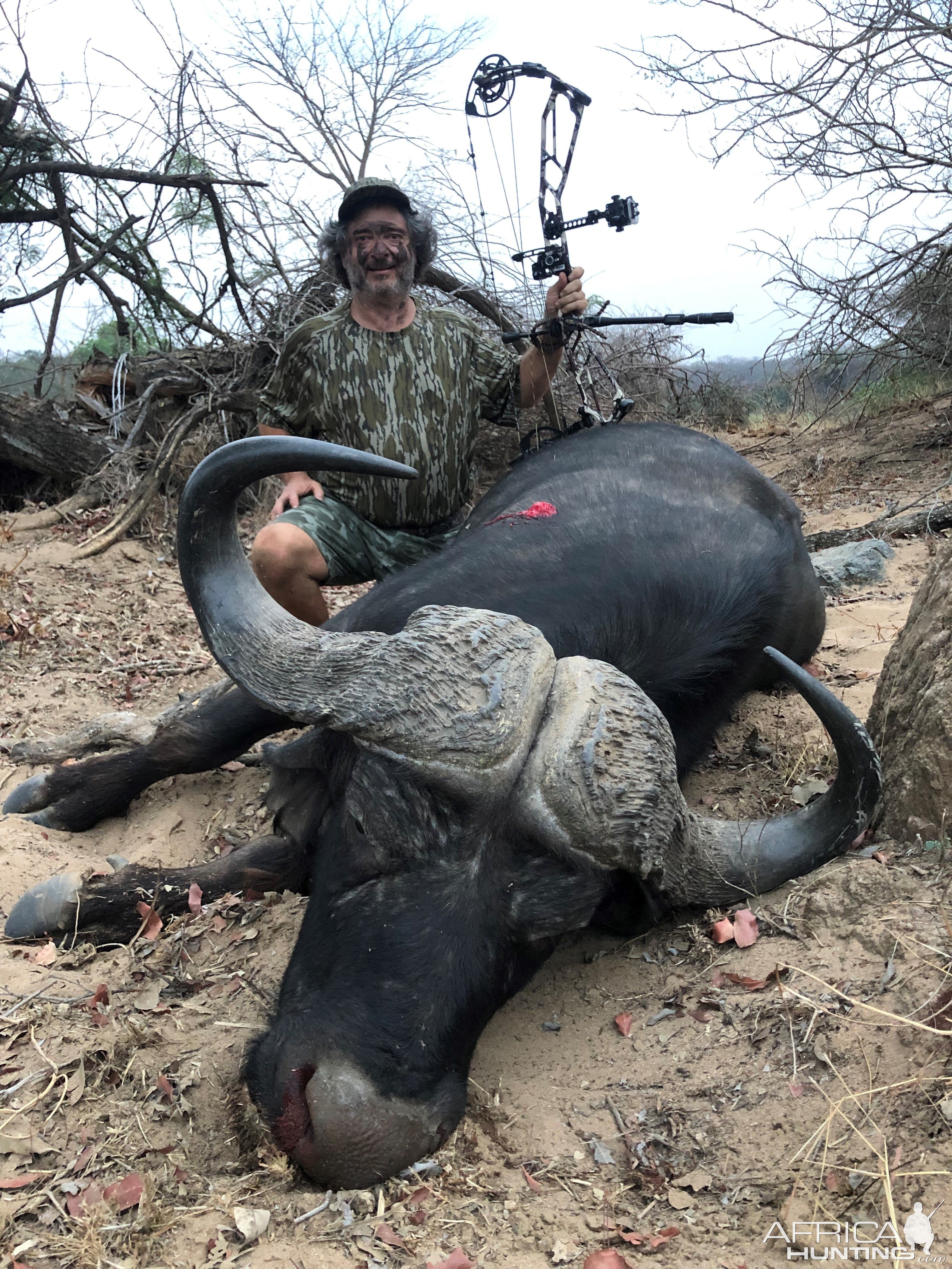 Buffalo Hunt Zimbabwe