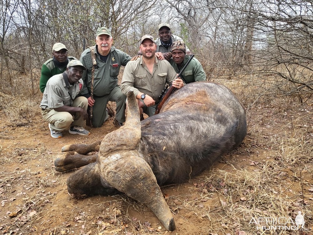 Buffalo Hunt Zimbabwe