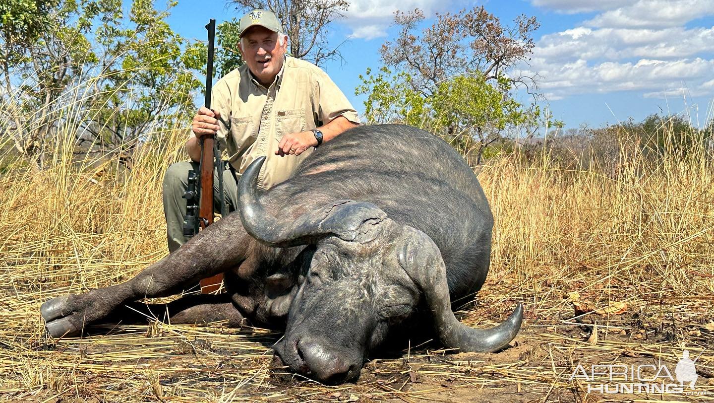 Buffalo Hunt Zimbabwe