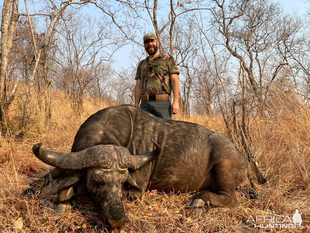 Buffalo Hunt Zimbabwe