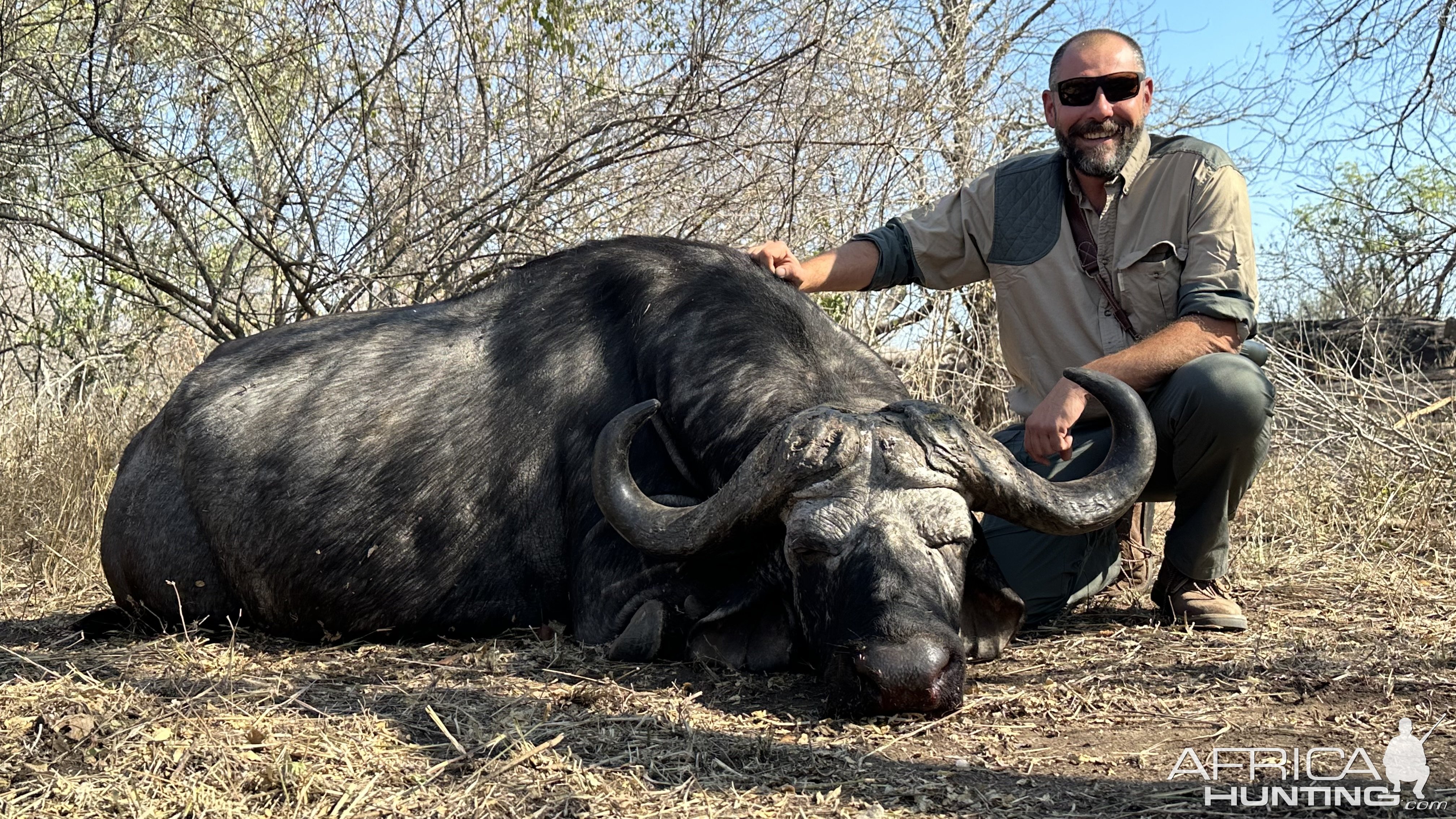 Buffalo Hunt Zimbabwe