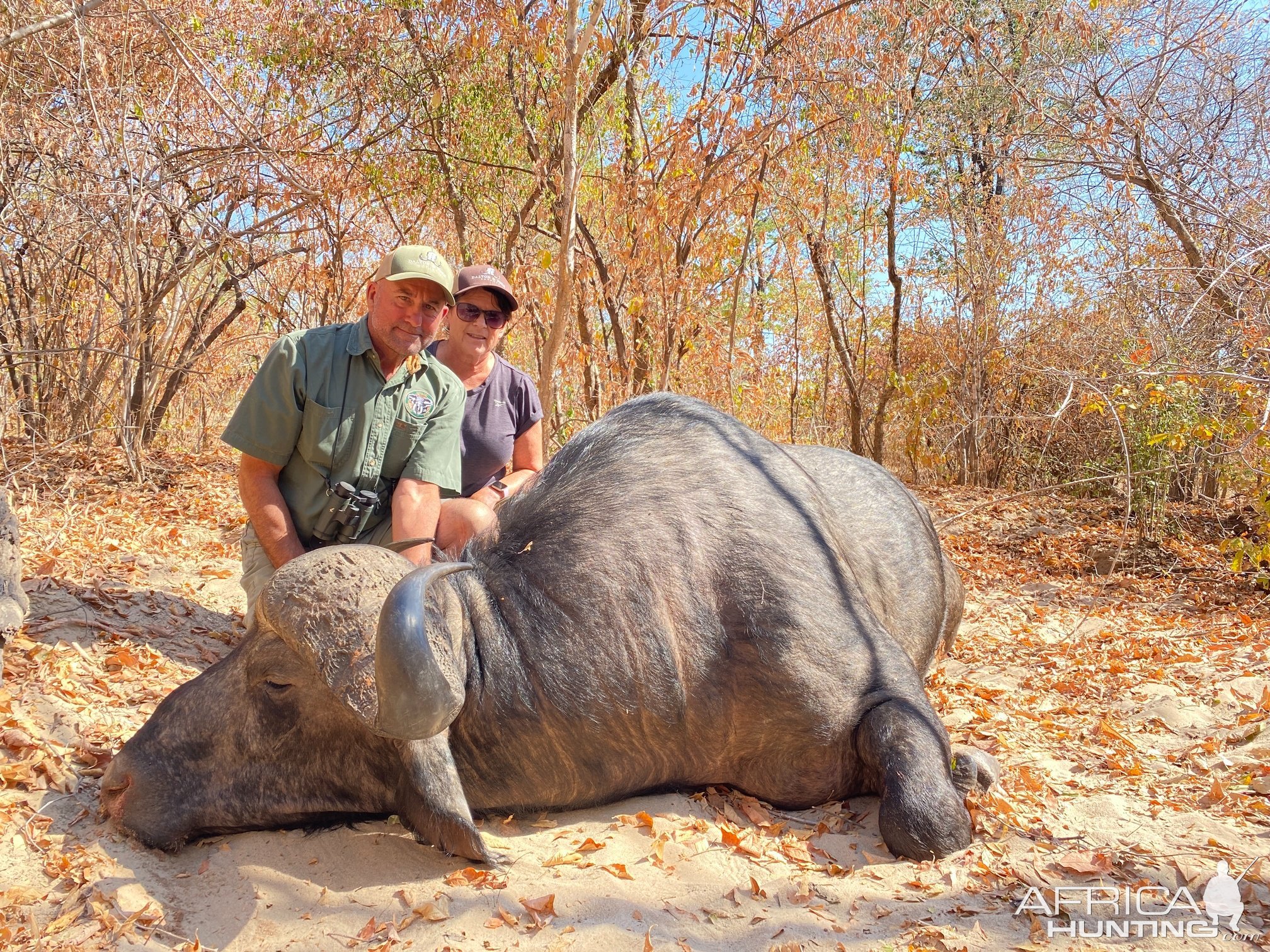 Buffalo Hunt Zimbabwe