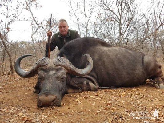 Buffalo Hunt Zimbabwe