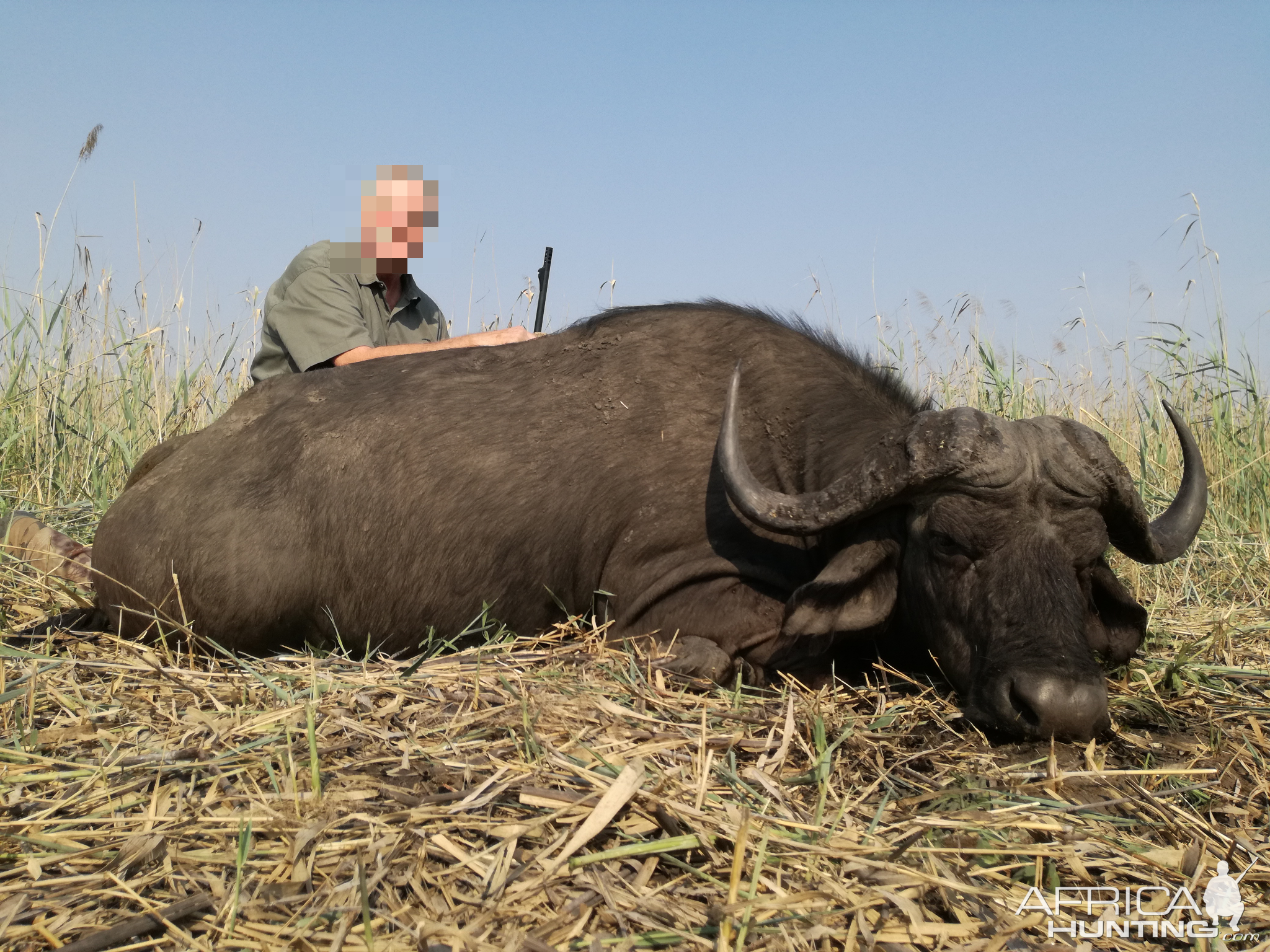 Buffalo Hunt