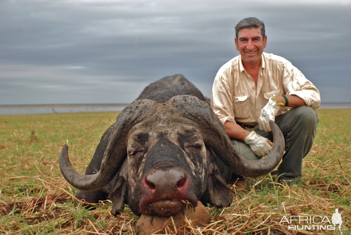 Buffalo Hunt