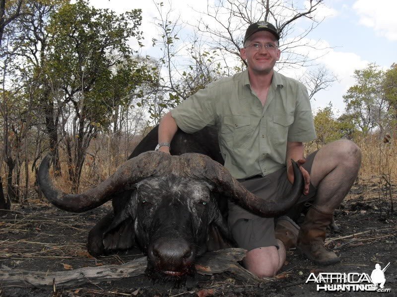 Buffalo hunted in Northern Mozambique 45 inches