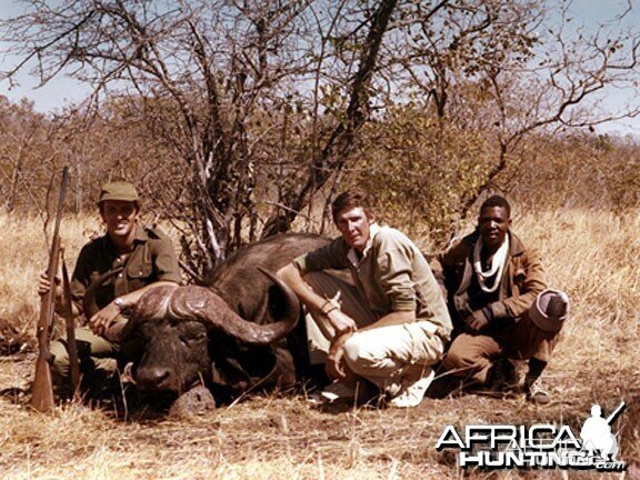 Buffalo hunted in Zimbabwe Matetsi