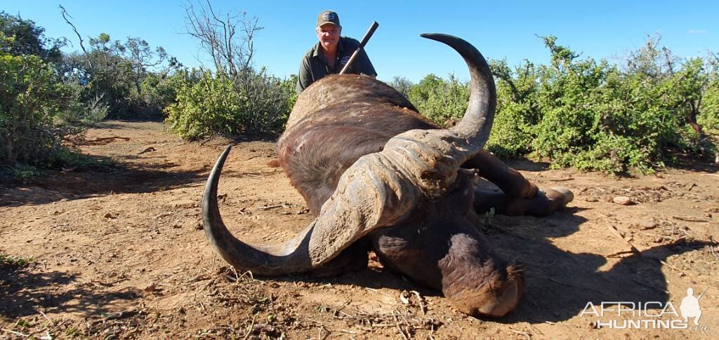 Buffalo Hunting Eastern Cape South Africa | AfricaHunting.com