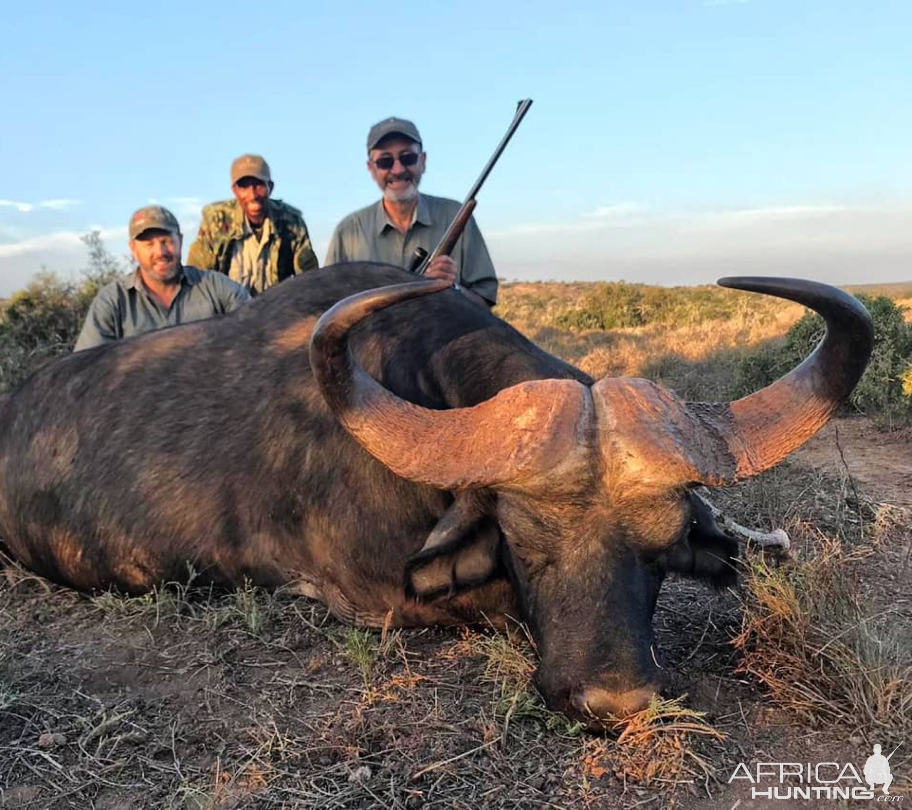 Buffalo Hunting Eastern Cape South Africa