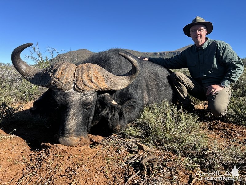 Buffalo Hunting Eastern Cape South Africa