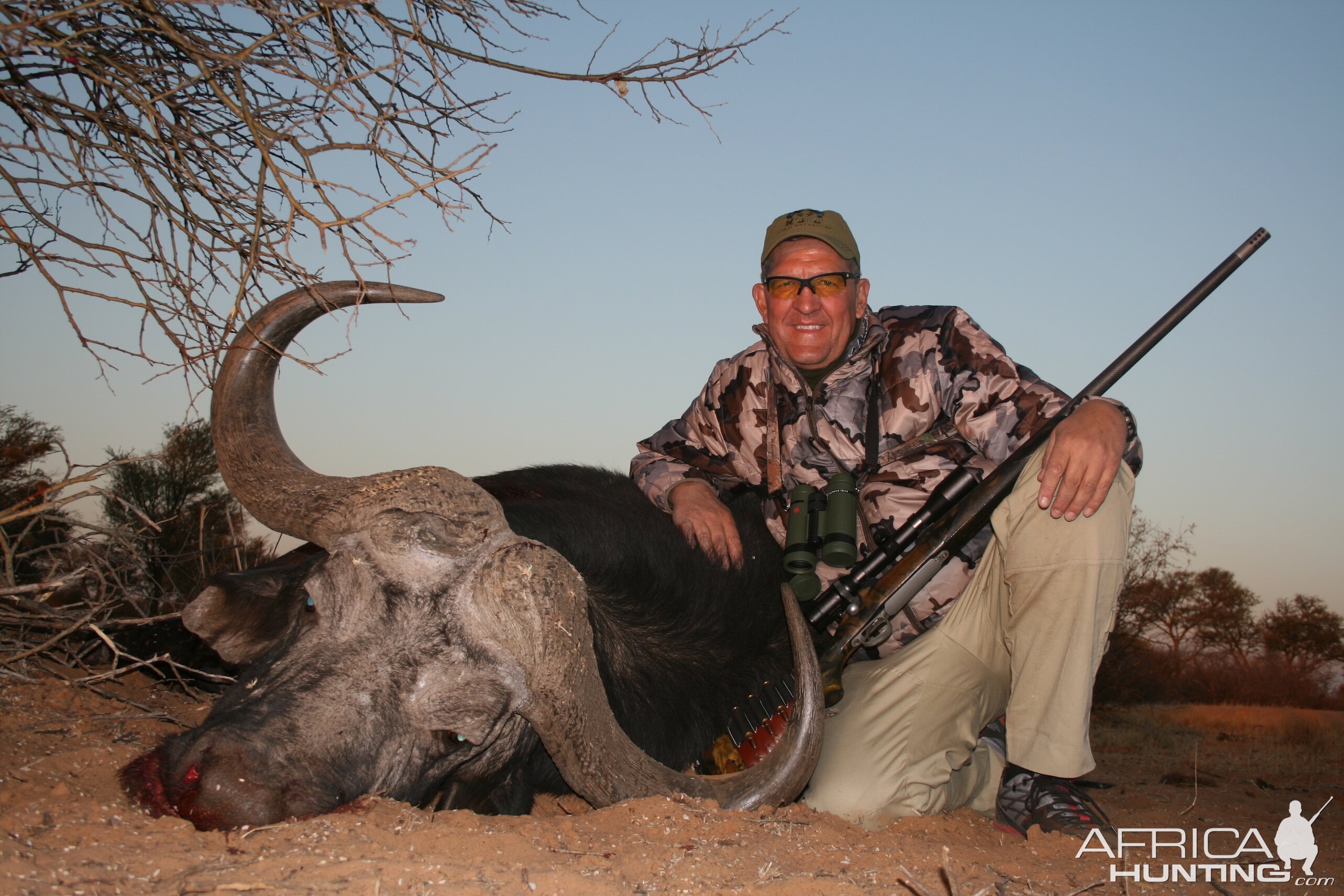 Buffalo Hunting in the Kalahari