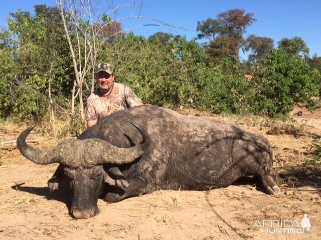 Buffalo Hunting in Zimbabawe