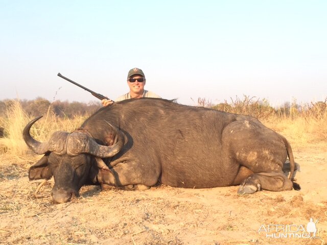 Buffalo Hunting in Zimbabwe