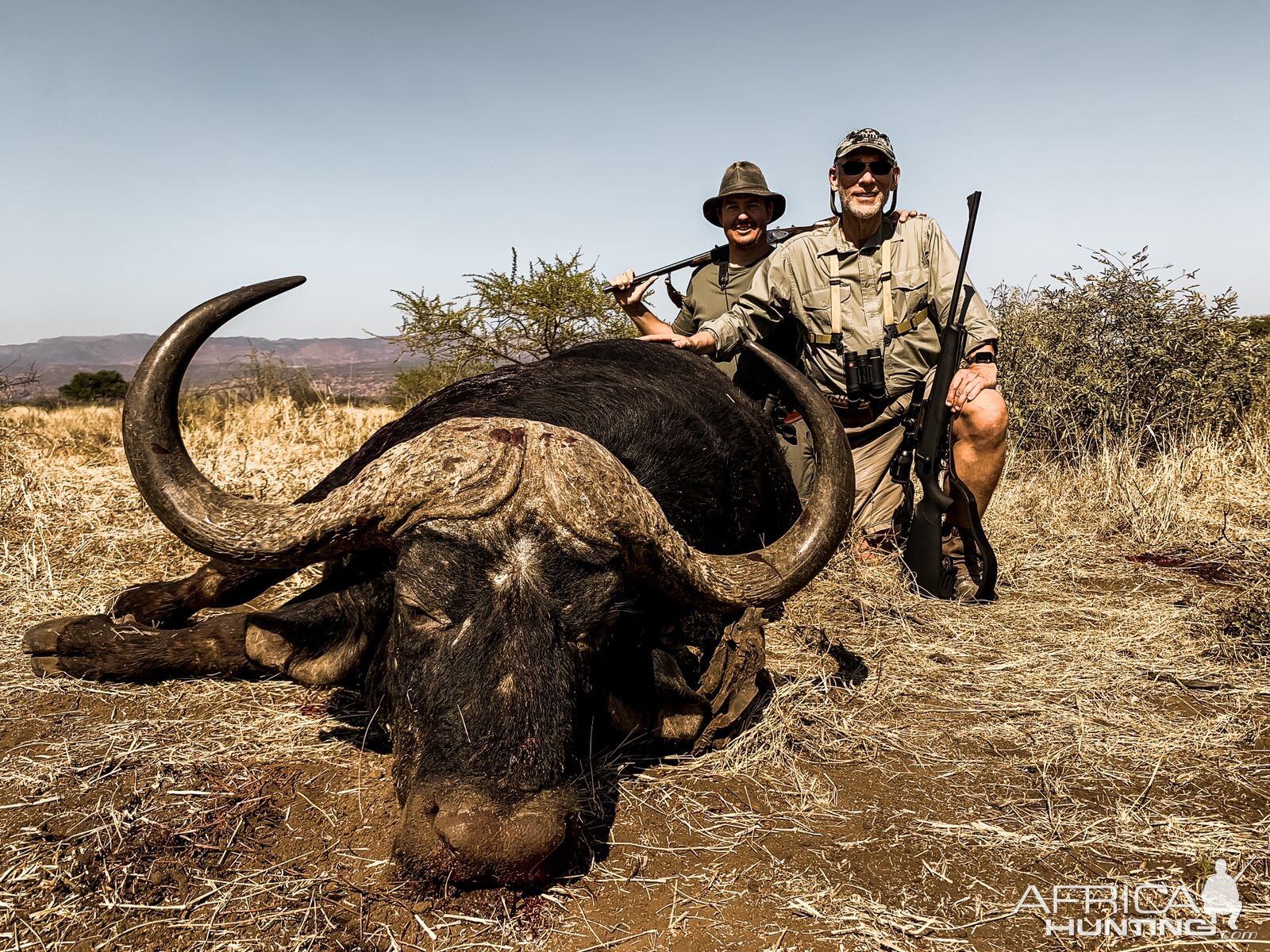 Buffalo Hunting Limpopo South Africa