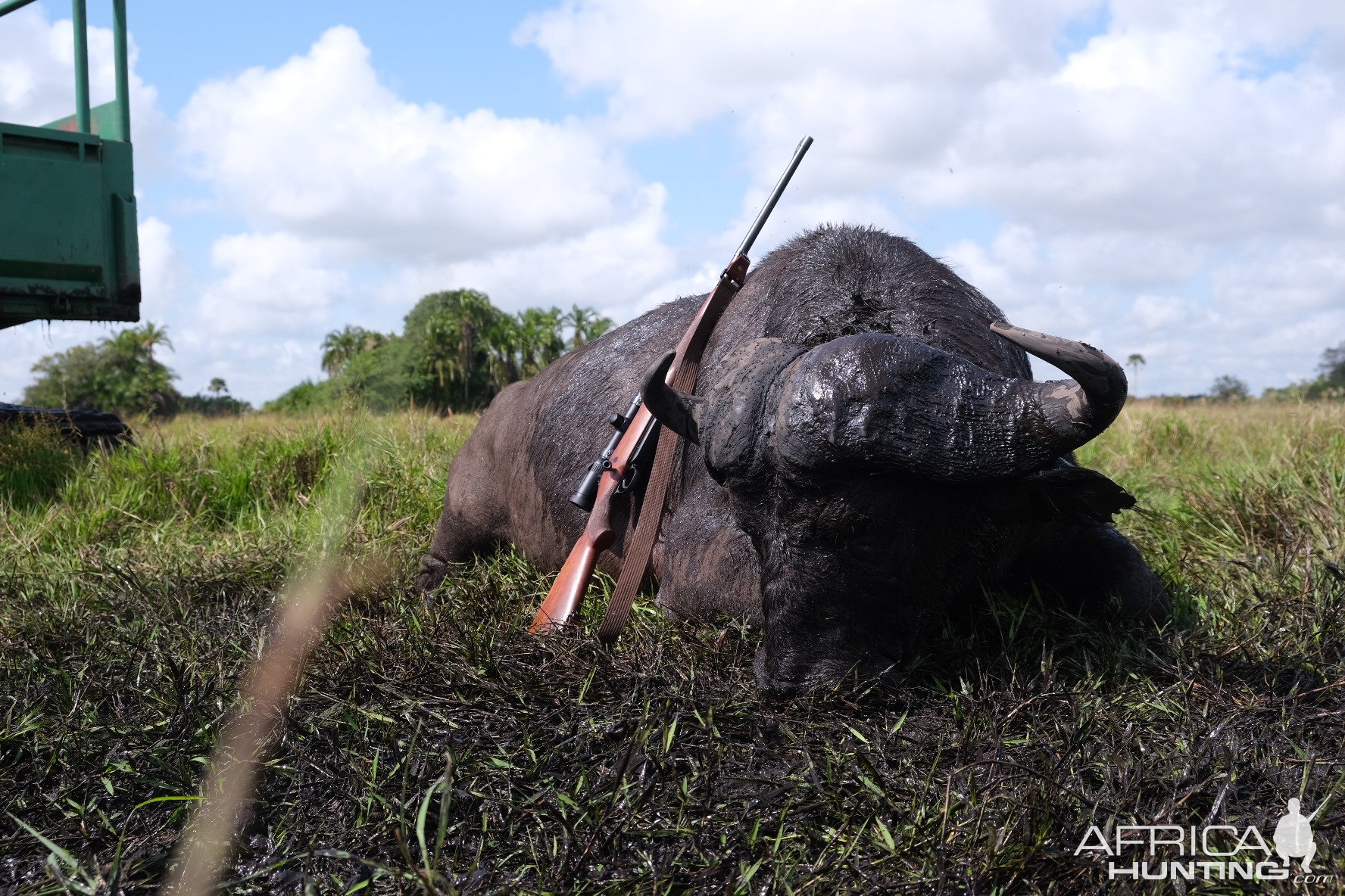 Buffalo Hunting Mozambique