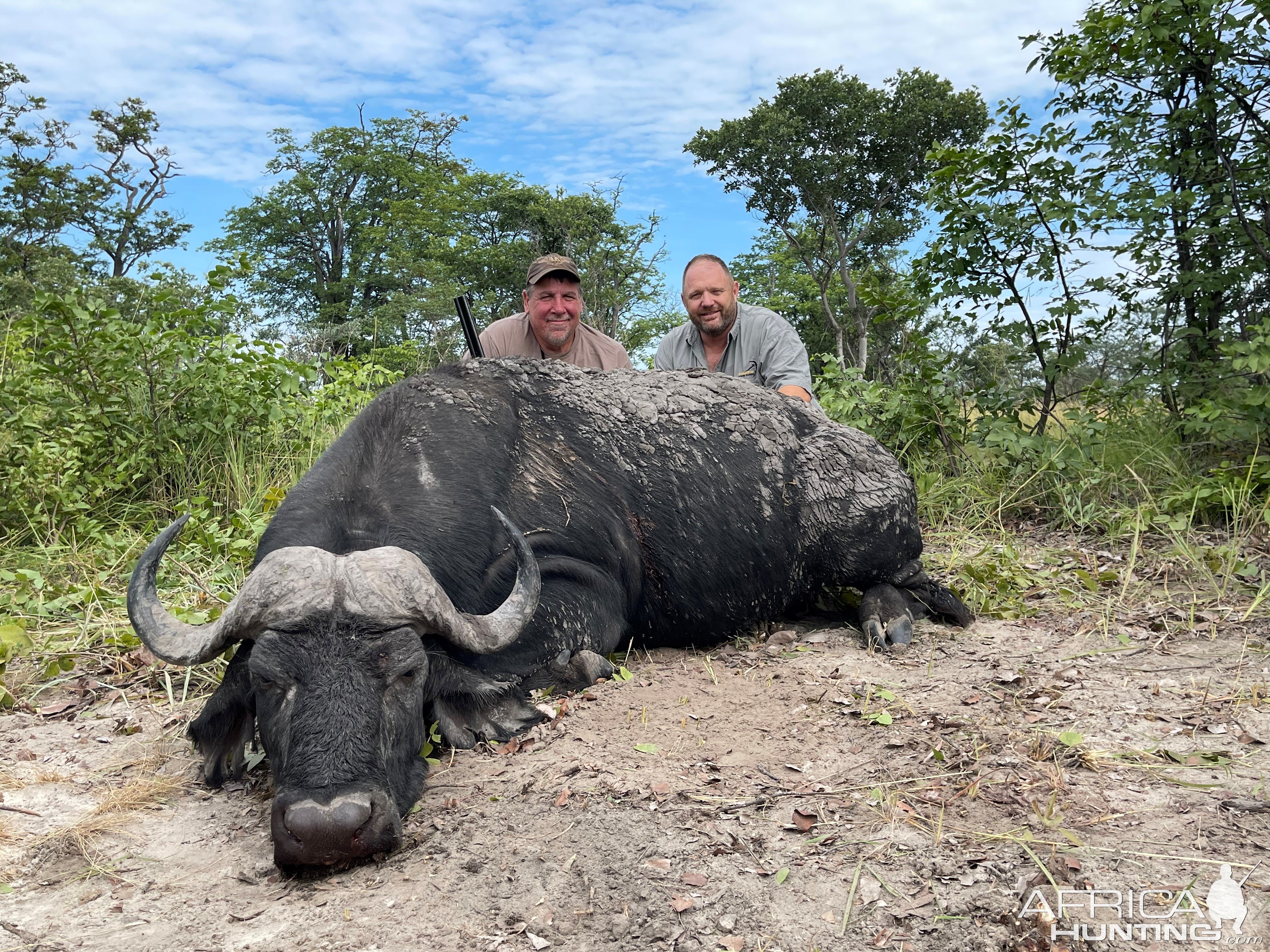 Buffalo Hunting Namibia