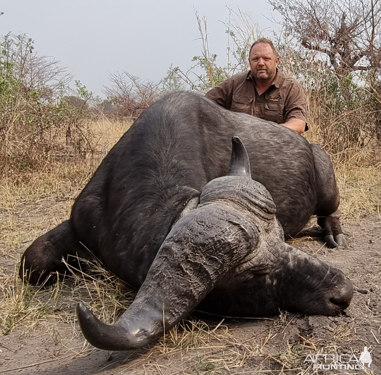 Buffalo Hunting Namibia