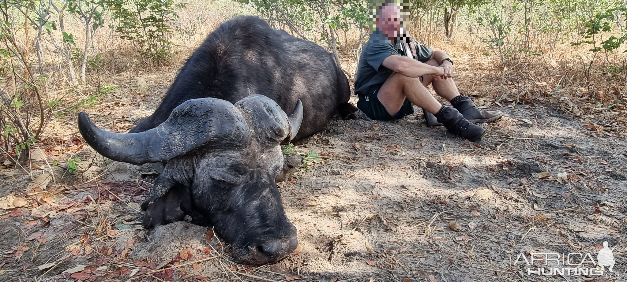 Buffalo Hunting Namibia