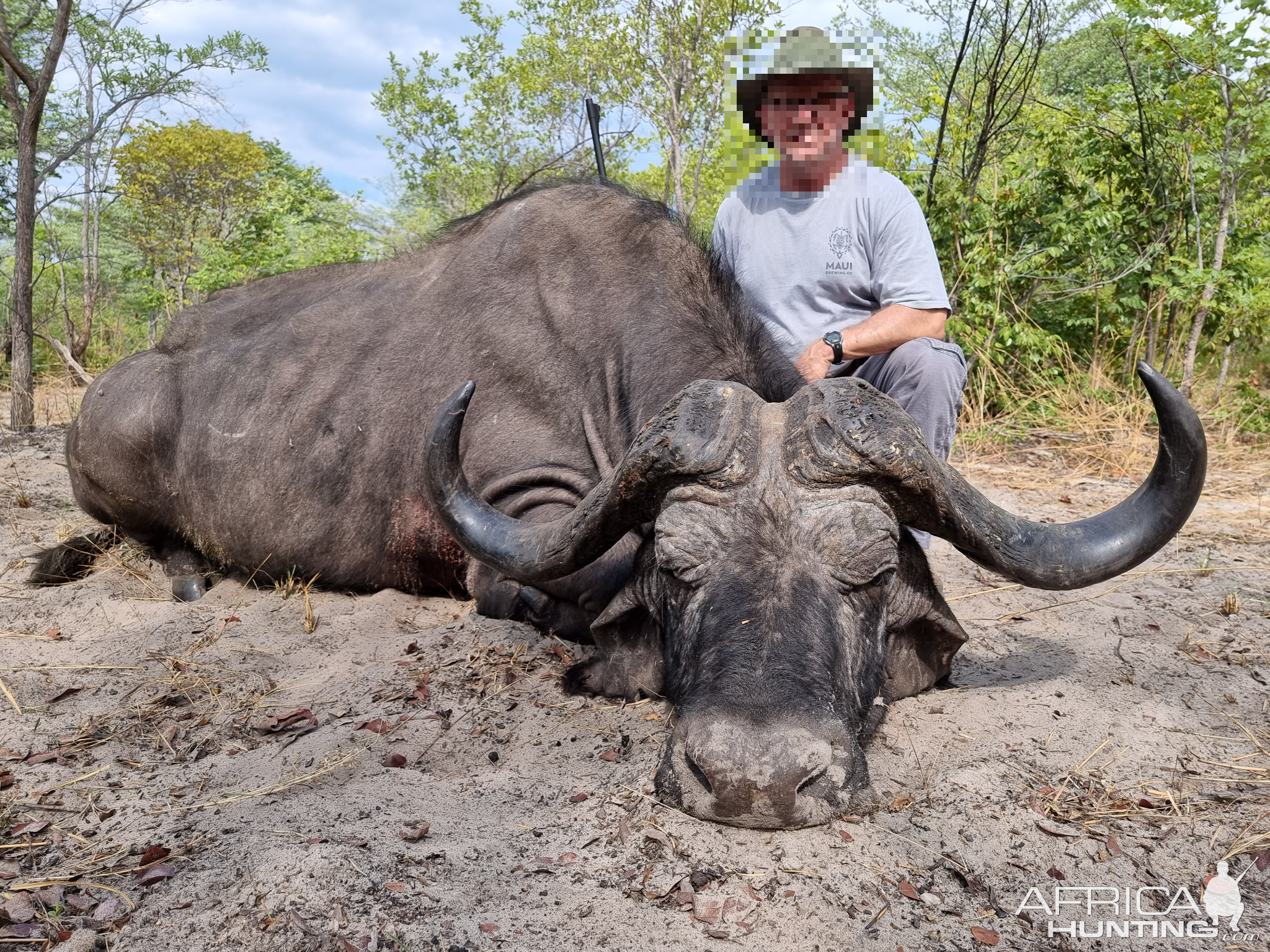 Buffalo Hunting Namibia