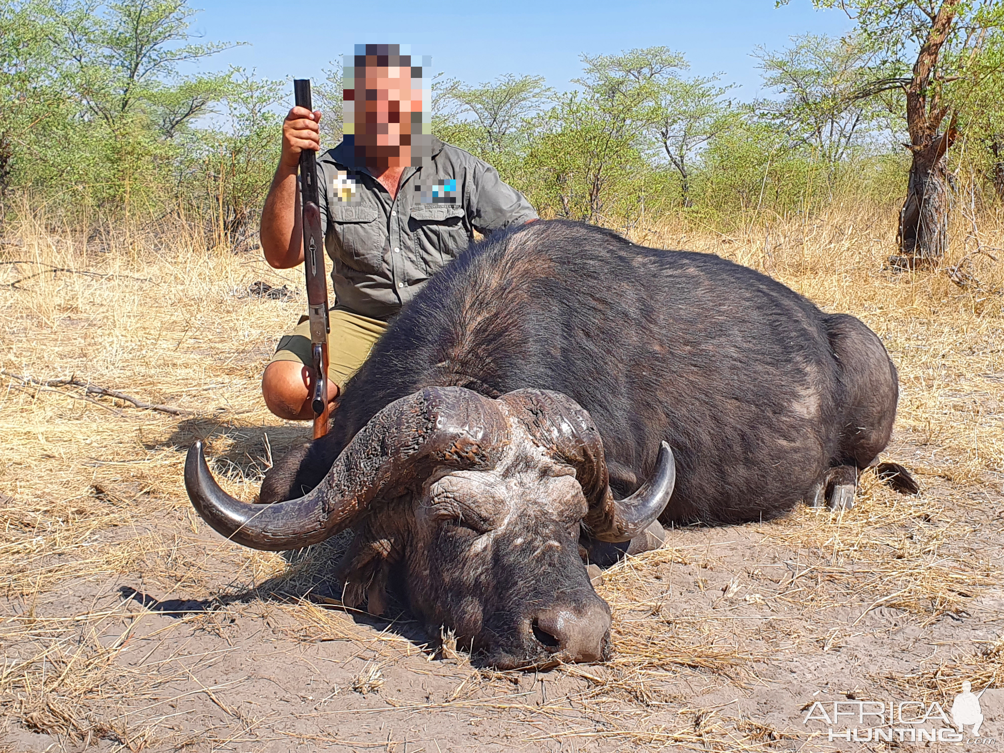 Buffalo Hunting Namibia