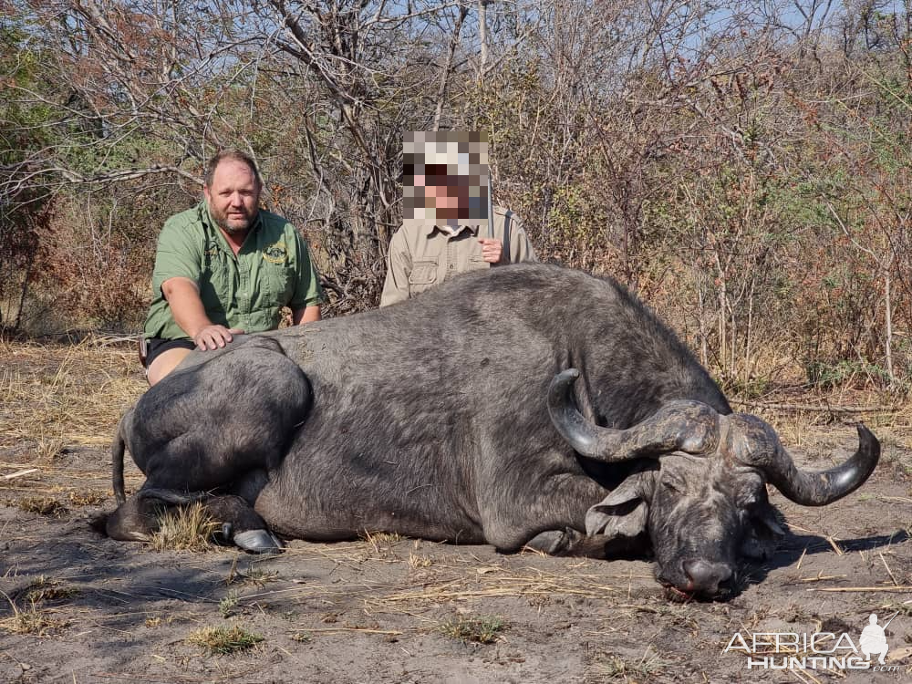 Buffalo Hunting Namibia