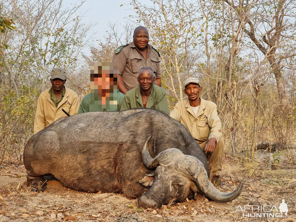 Buffalo Hunting Namibia