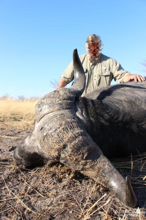 Buffalo Hunting Namibia