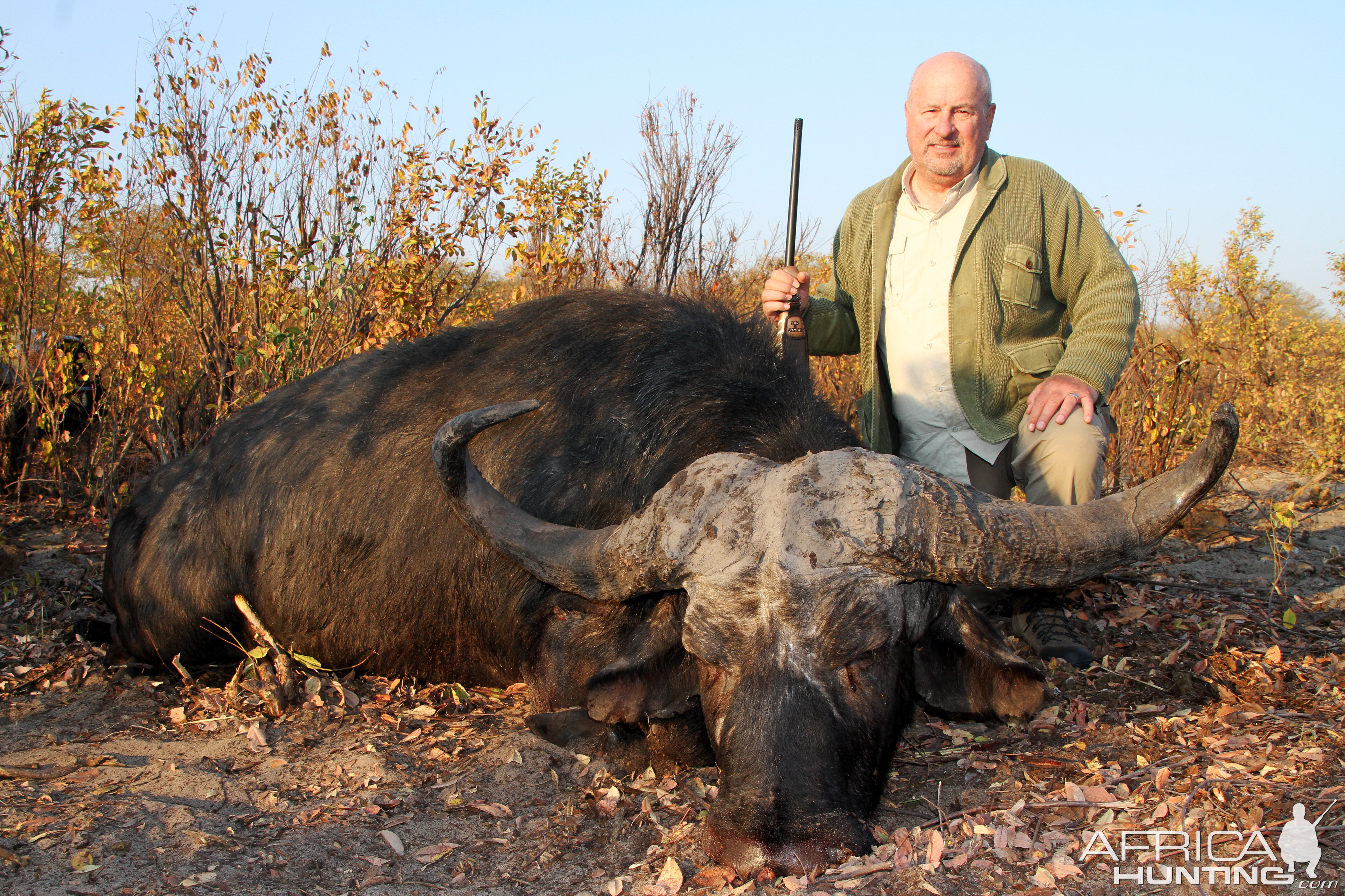 Buffalo Hunting Namibia