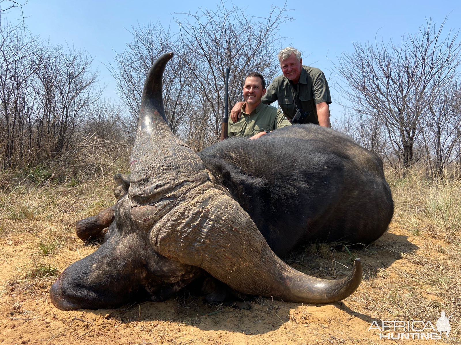 Buffalo Hunting North West Province South Africa