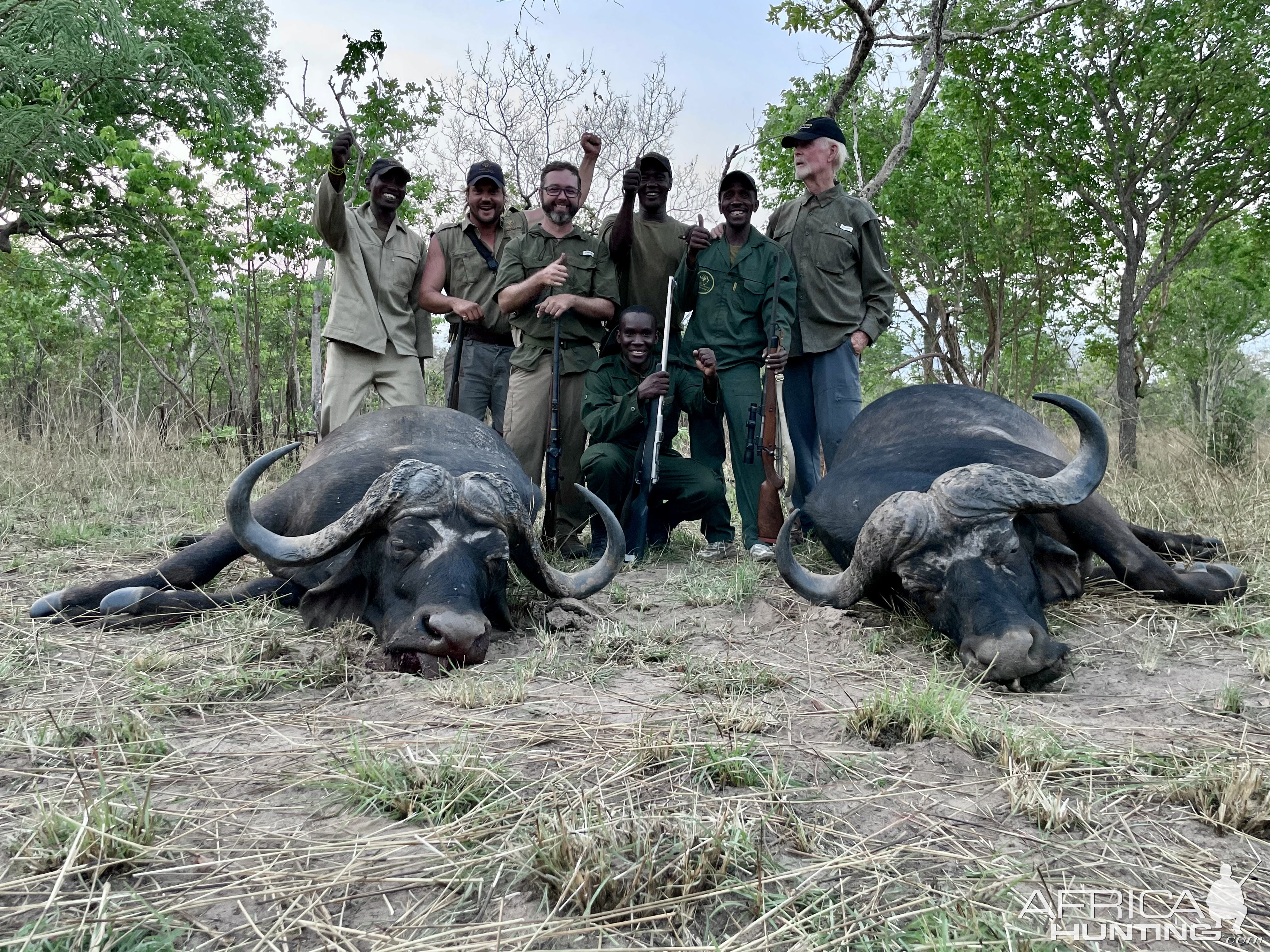 Buffalo Hunting Selous Game Reserve Tanzania